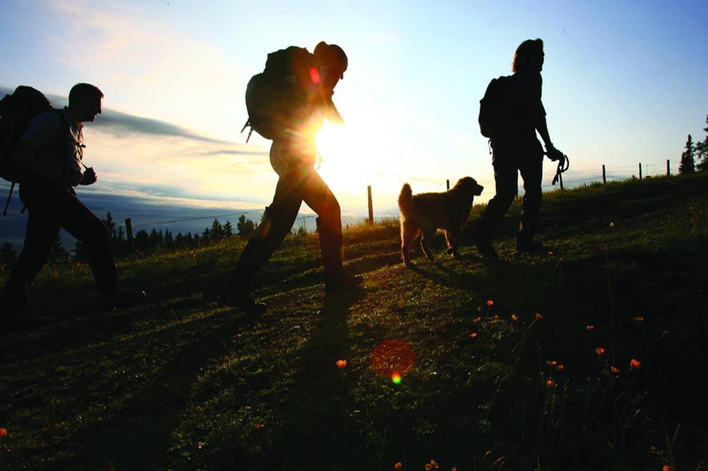 Wohlfuehlpension Kreischberg Inklusive Murau Sommergaestecard Ab 2 Naechte Sankt Georgen ob Murau Esterno foto