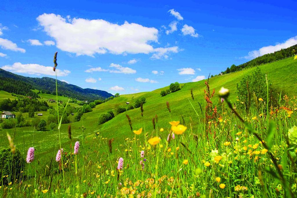 Wohlfuehlpension Kreischberg Inklusive Murau Sommergaestecard Ab 2 Naechte Sankt Georgen ob Murau Esterno foto